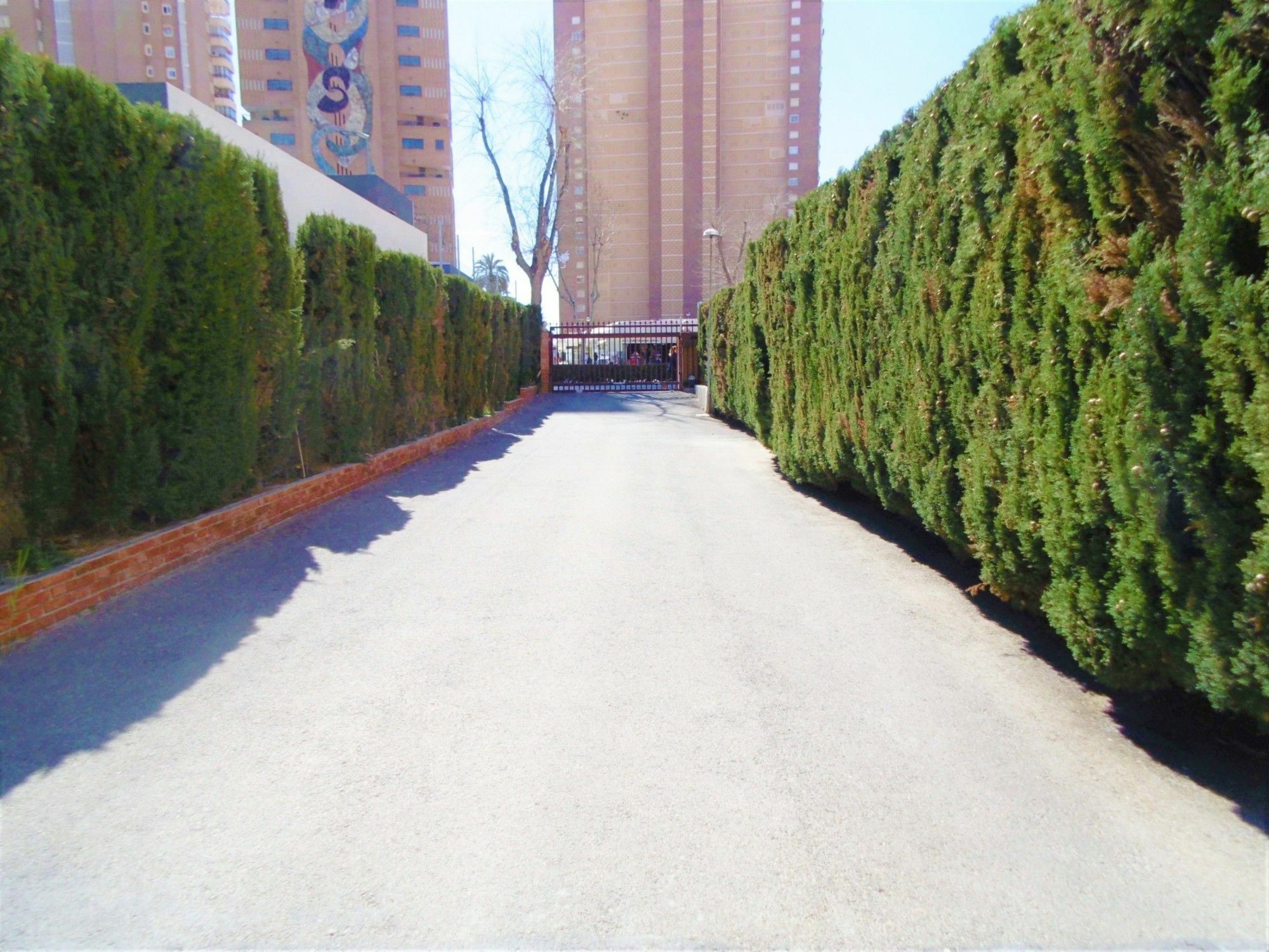 Edimar 2-3 Apartment Levante Beach Benidorm Exterior photo
